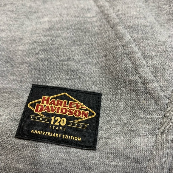 Harley-Davidson Men's 120th Anniversary Zip-Up Hoodie - Heather Gray 96521-23VM - Picture 6 of 10